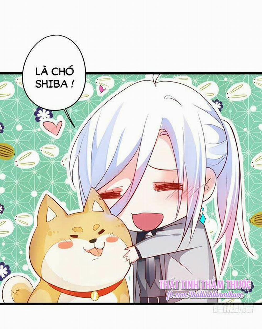 Hắc Đạo Đáng Yêu 41 trang 31