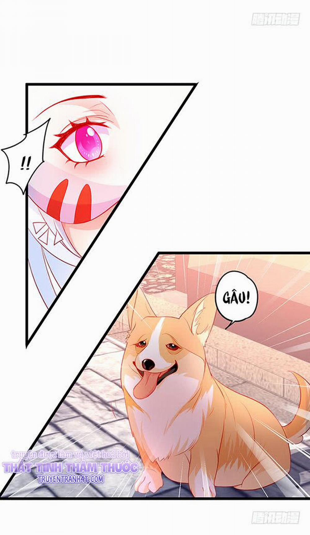 Hắc Đạo Đáng Yêu 48 trang 33