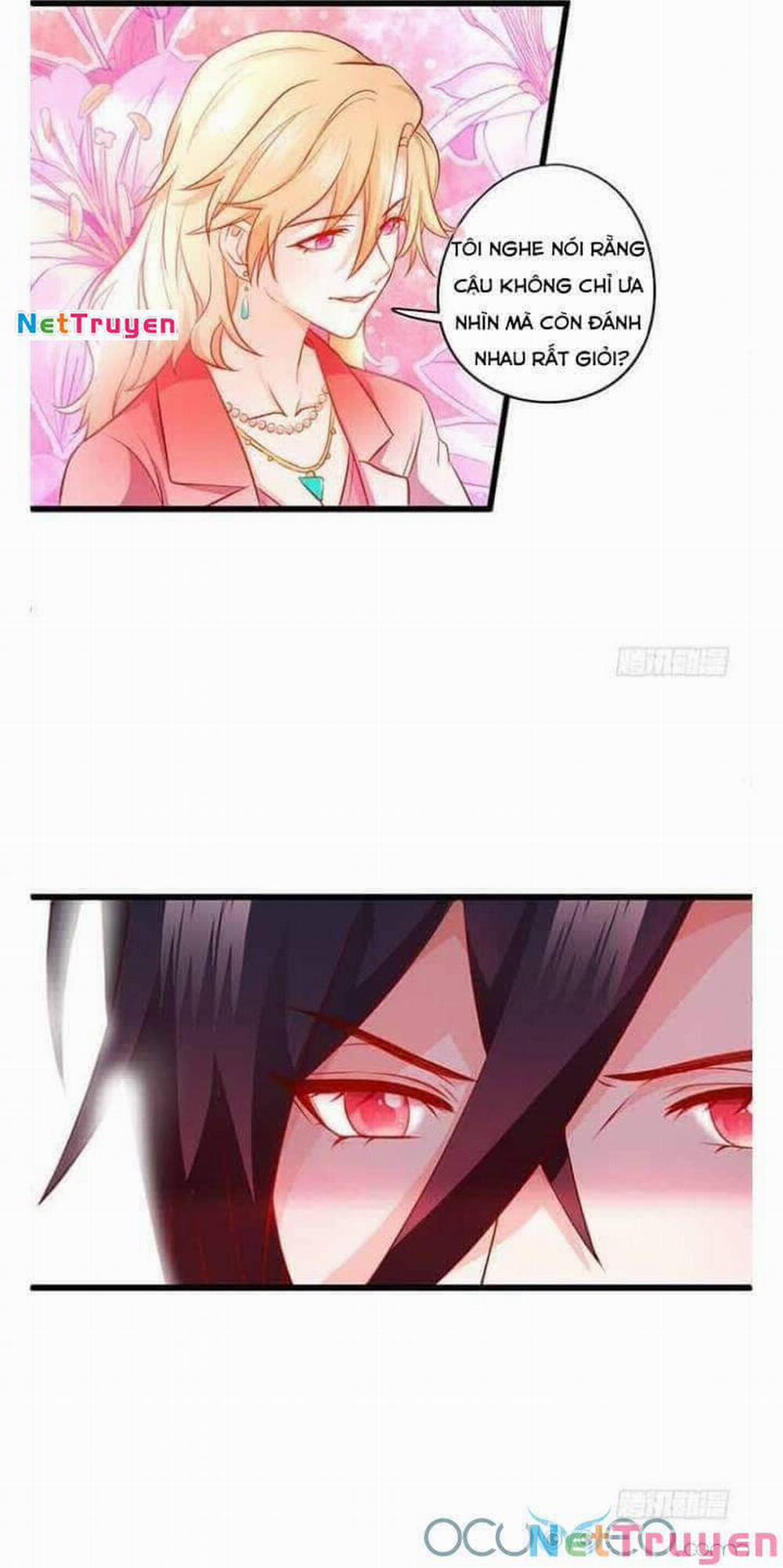 Hắc Đạo Đáng Yêu 50 trang 10