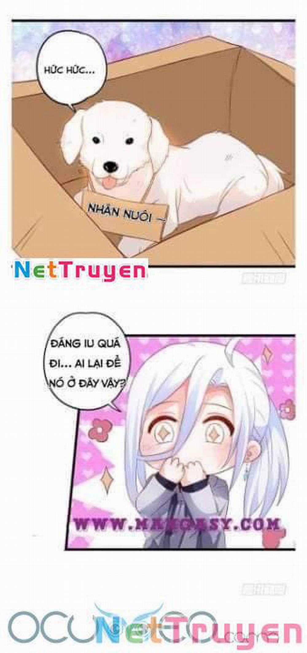 Hắc Đạo Đáng Yêu 50 trang 34