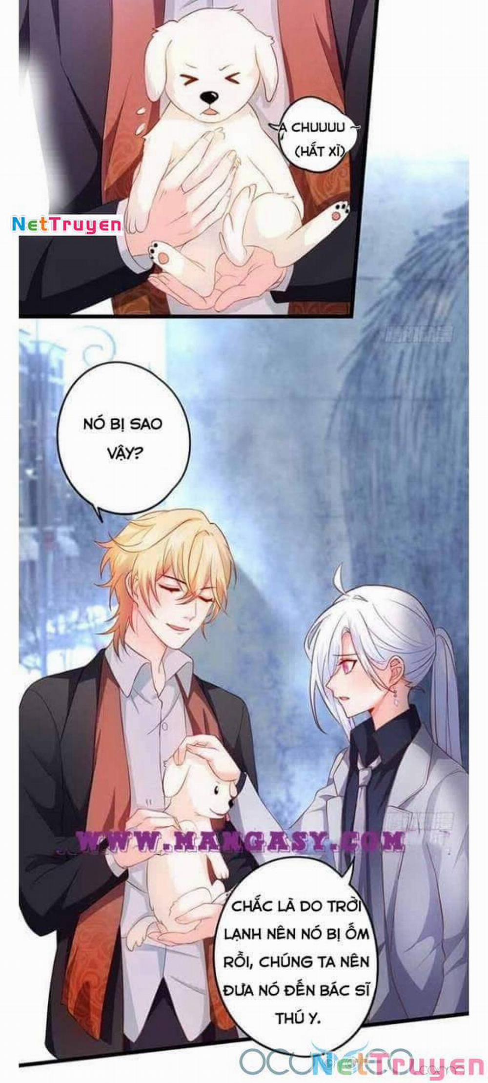 Hắc Đạo Đáng Yêu 50 trang 35