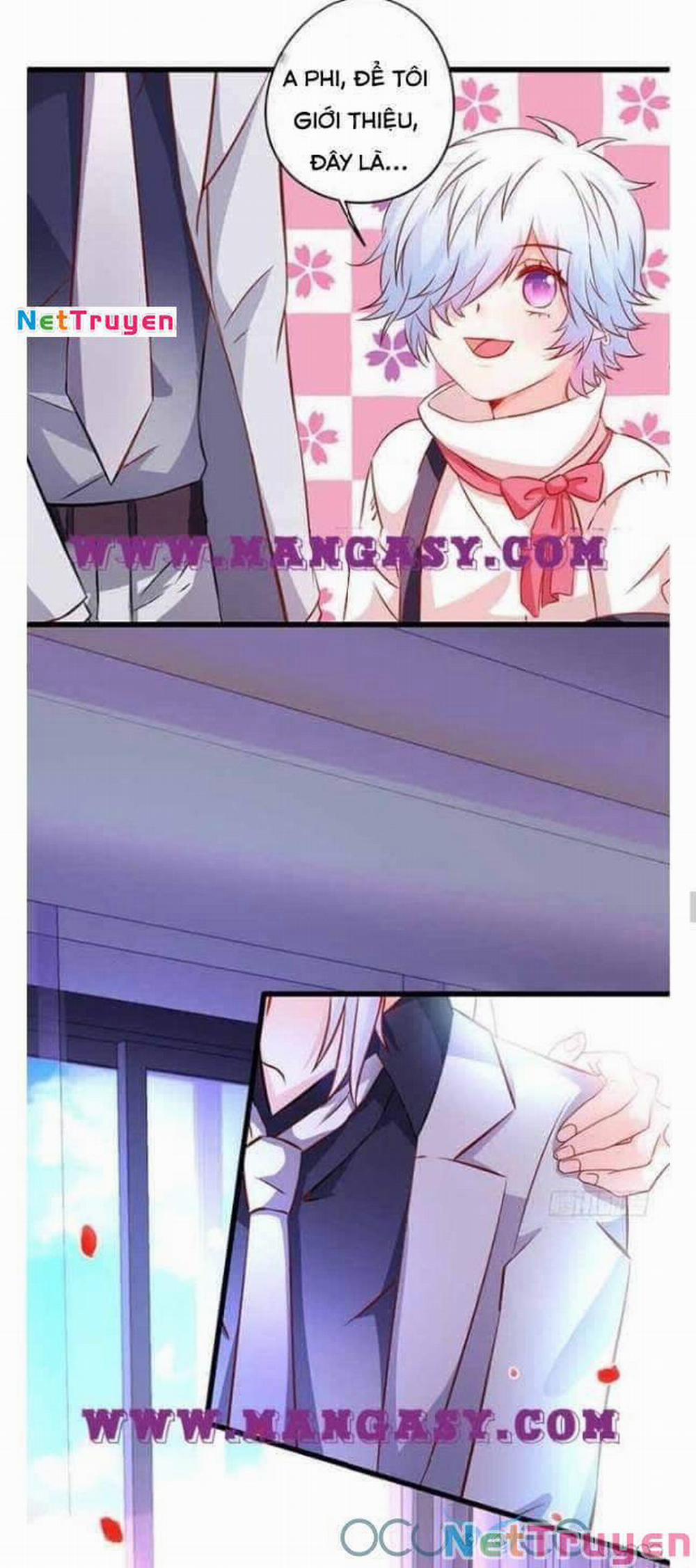 Hắc Đạo Đáng Yêu 50 trang 8