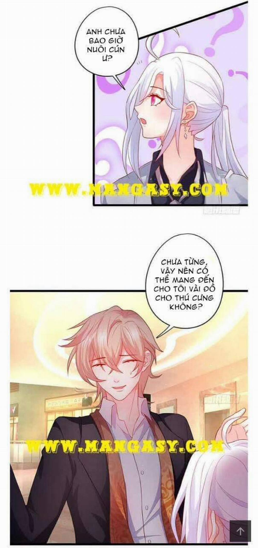 Hắc Đạo Đáng Yêu 51 trang 11