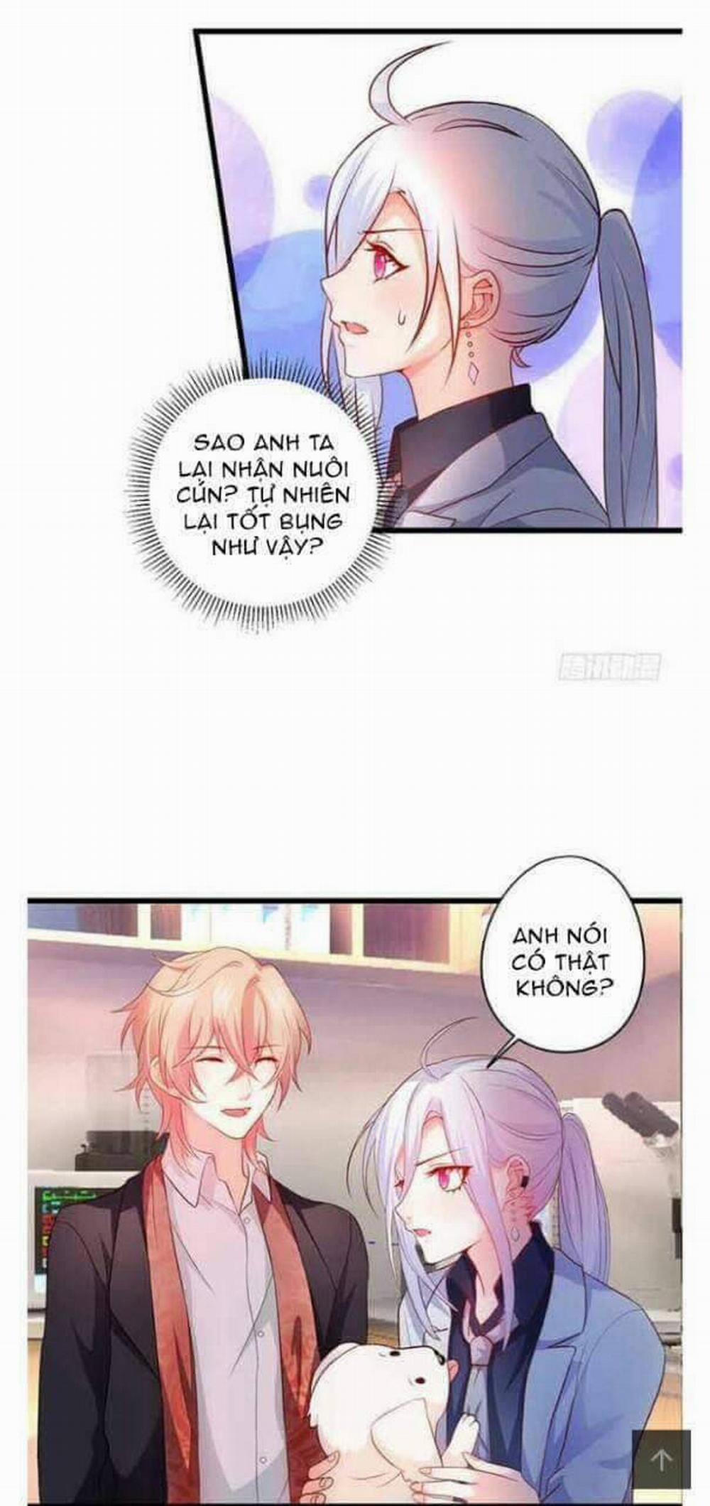 Hắc Đạo Đáng Yêu 51 trang 7