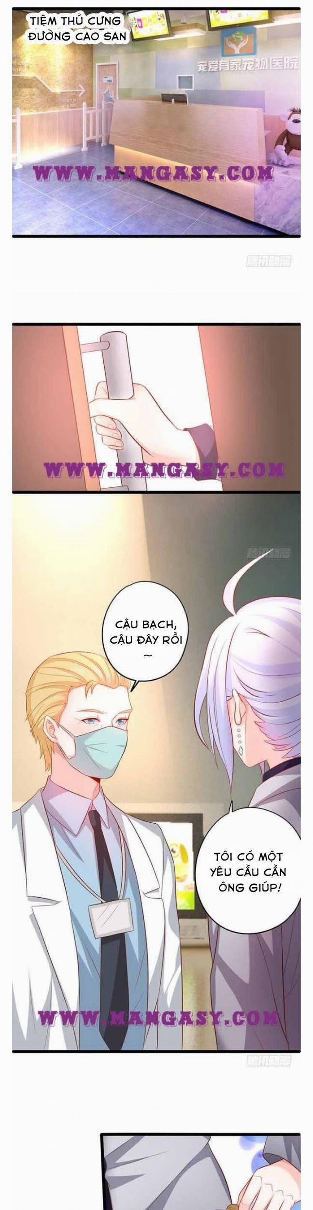 Hắc Đạo Đáng Yêu 62 trang 18