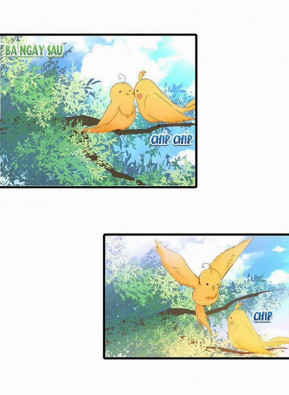 Hắc Đạo Đáng Yêu 8 trang 21