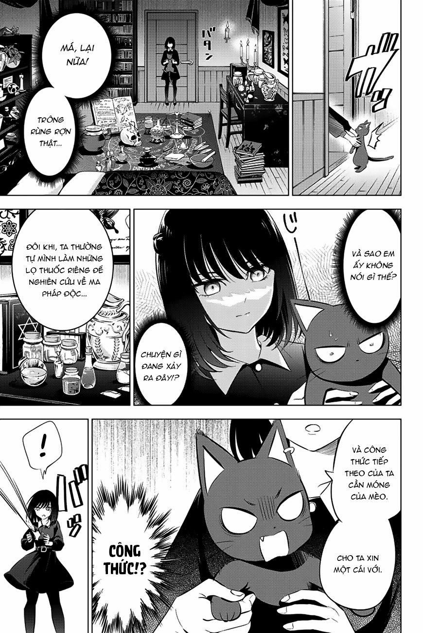 Hắc Miêu Và Lớp Học Phù Thủy 10 trang 12