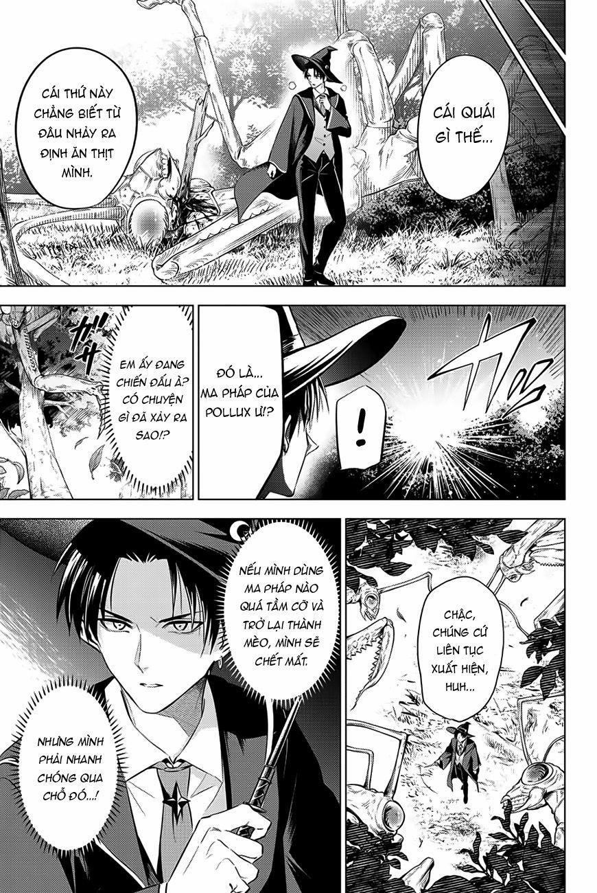 Hắc Miêu Và Lớp Học Phù Thủy 8 trang 5
