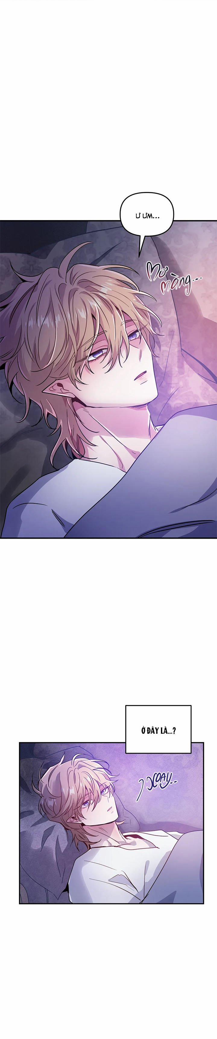 Hắc Vực 12 trang 16