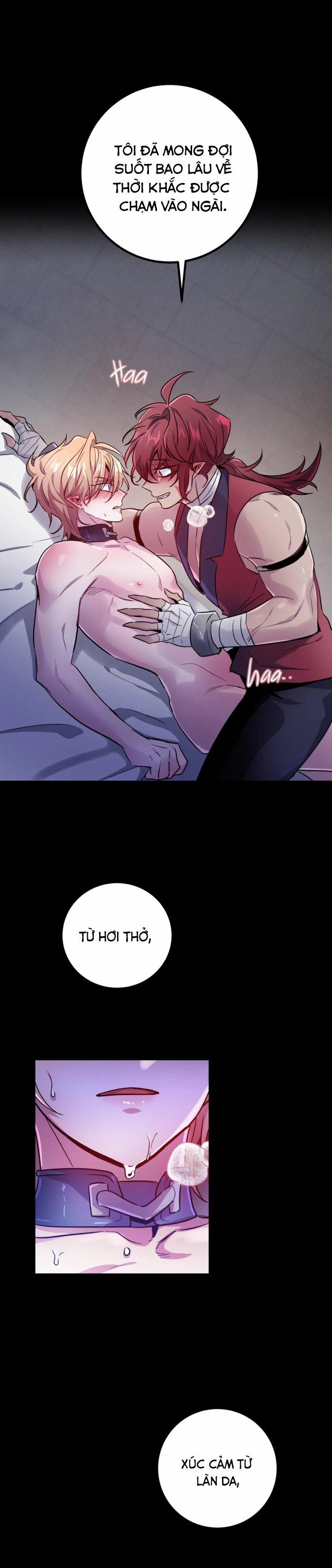 Hắc Vực 8 trang 28