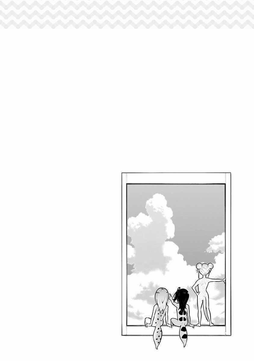 Hachuurui-Chan Wa Natsukanai 13 trang 8