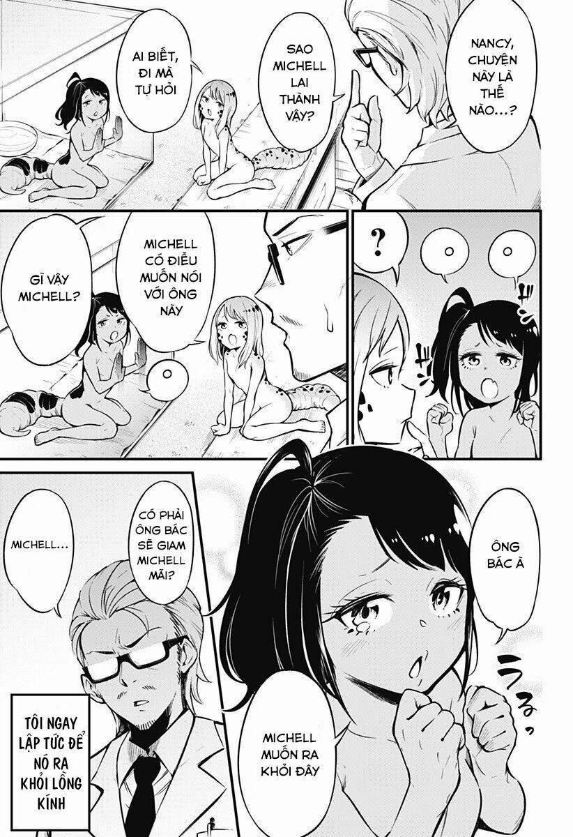 Hachuurui-Chan Wa Natsukanai 3 trang 4