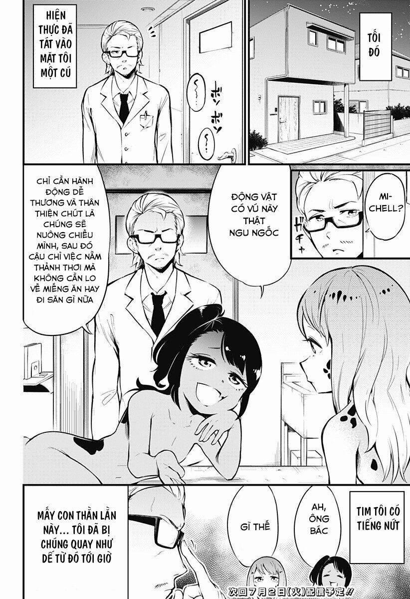 Hachuurui-Chan Wa Natsukanai 3 trang 7