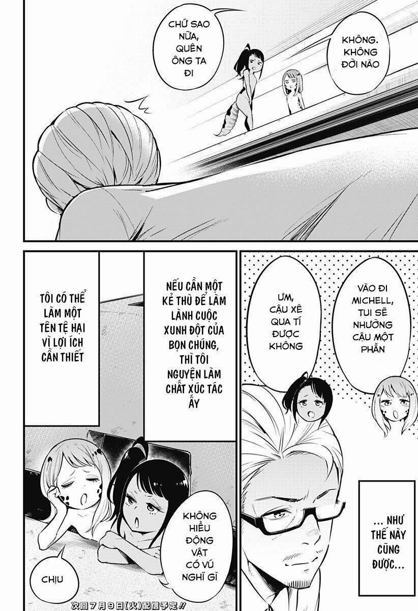 Hachuurui-Chan Wa Natsukanai 4 trang 7