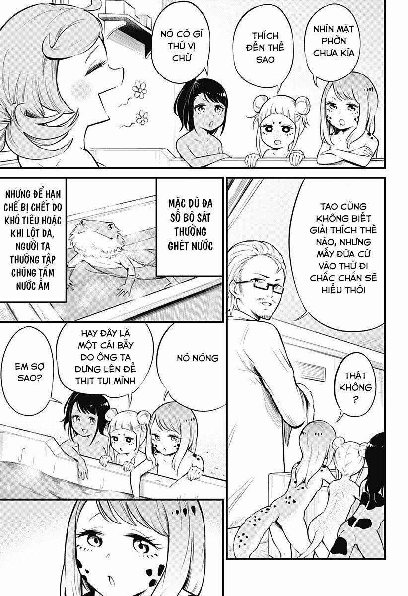 Hachuurui-Chan Wa Natsukanai 8 trang 2