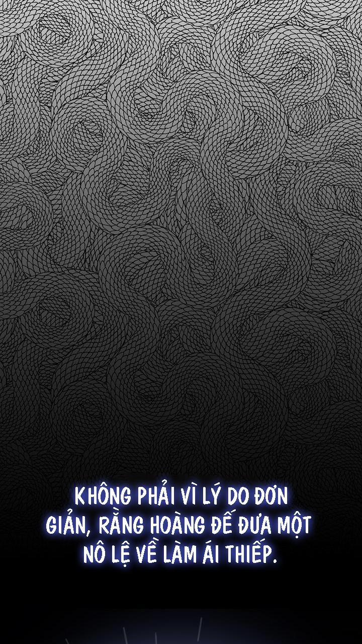 Hai Đất Nước, Đất Nước Của Nô Lệ 20 trang 10