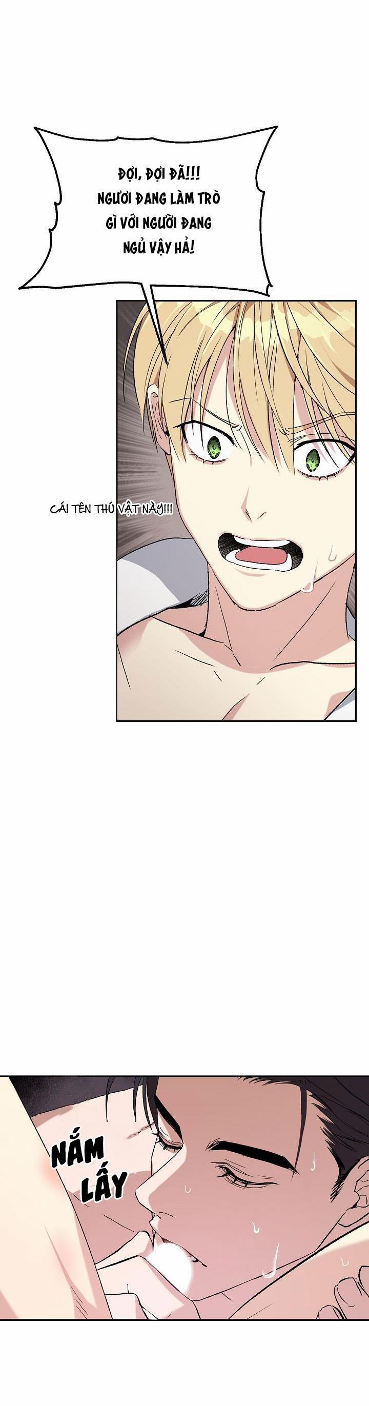 Hai Đất Nước, Đất Nước Của Nô Lệ 6 trang 21