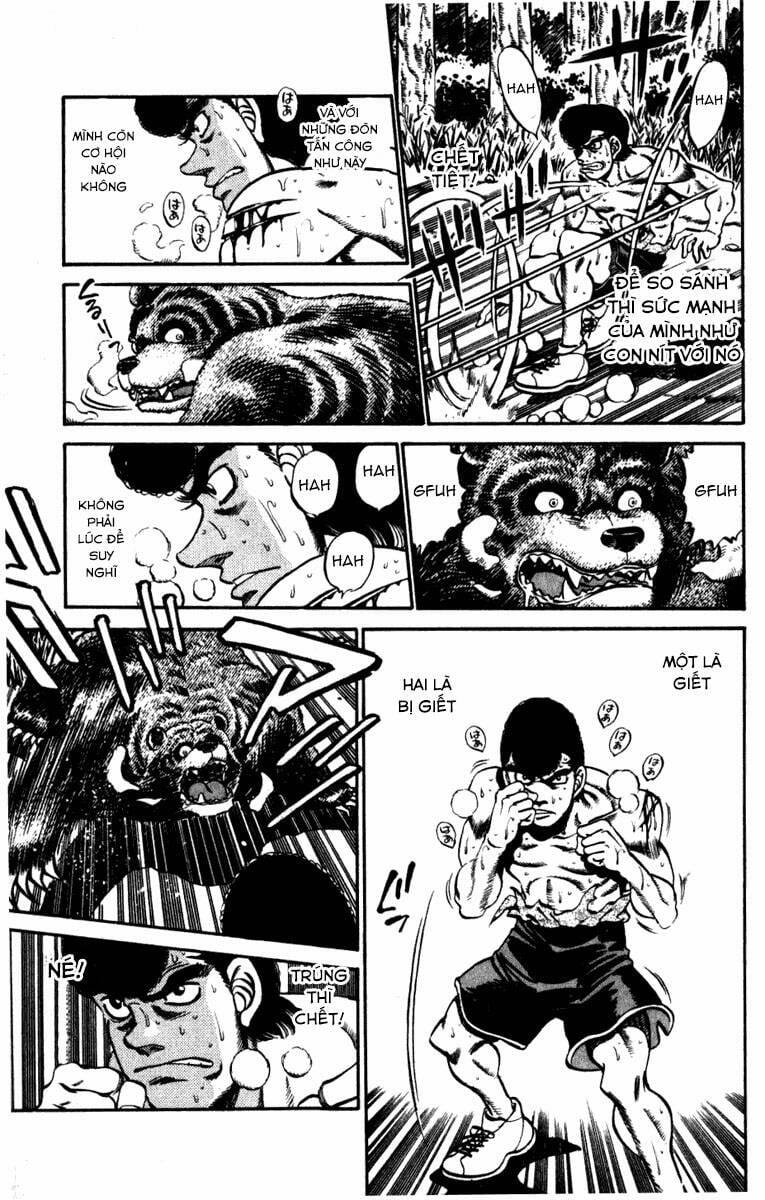 Hajime No Ippo Chương 230 Trang 5