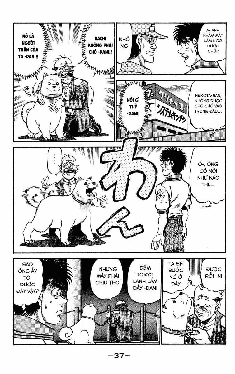 Hajime No Ippo Chương 234 Trang 15