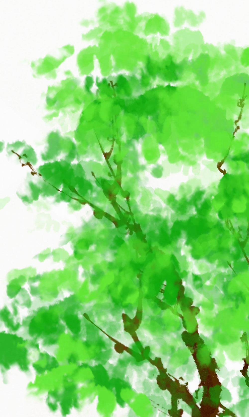 Hạnh Lâm Phương Hoa (END SS1) 4 trang 17