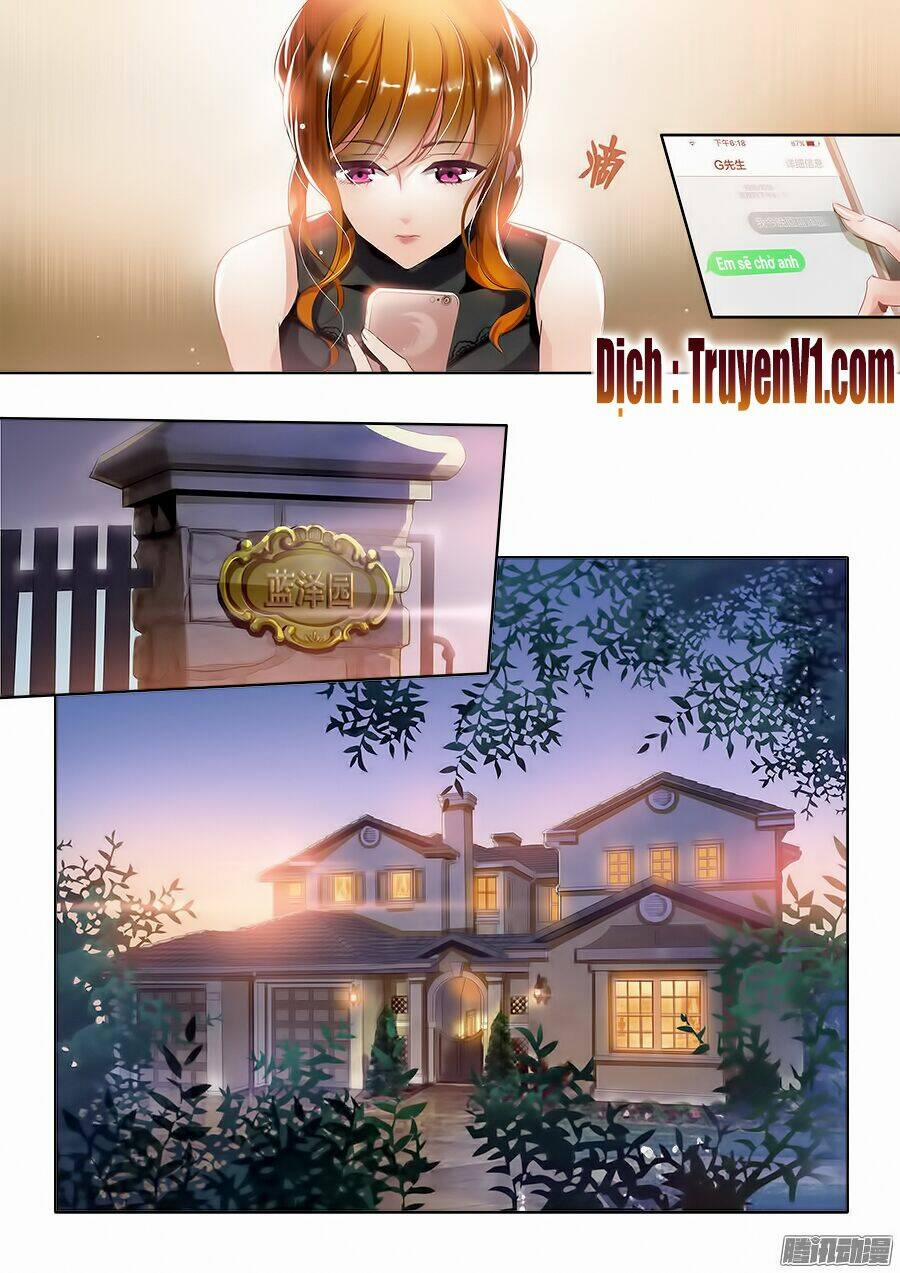 Hào Môn Thiên Giới Tiền Thê 2 trang 4