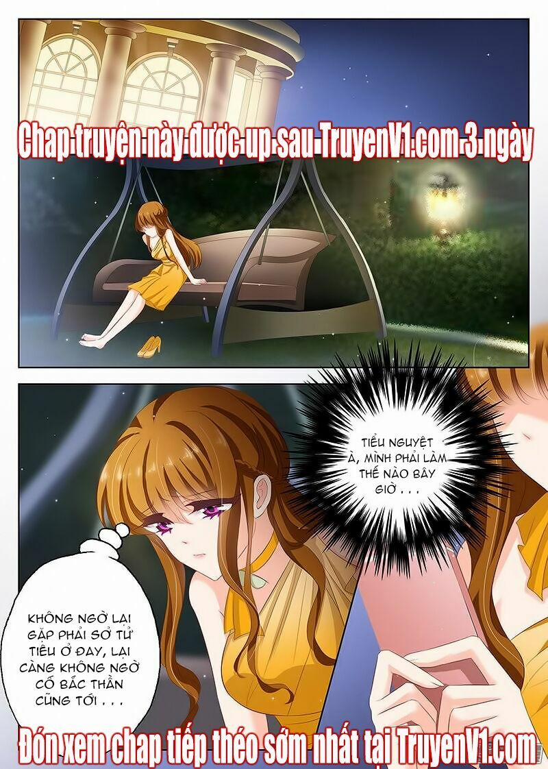 Hào Môn Thiên Giới Tiền Thê 56 trang 7