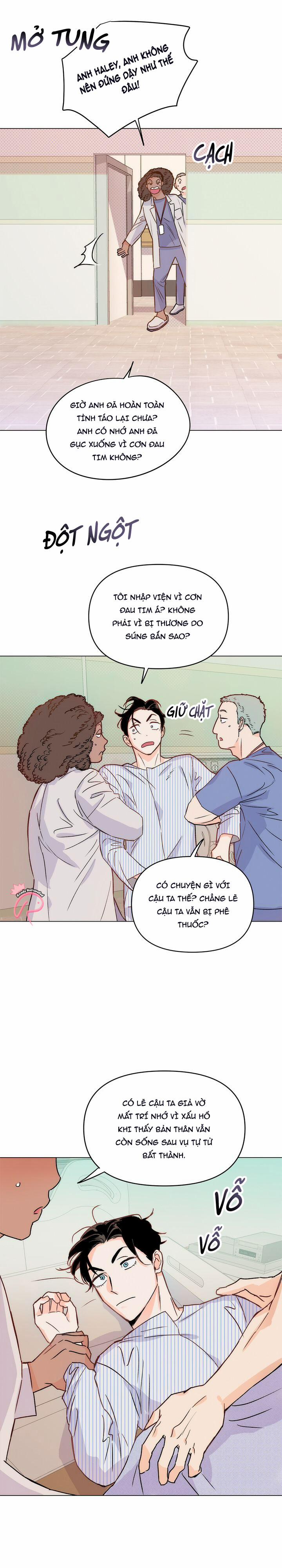 Hào Quang Tối 3 trang 7