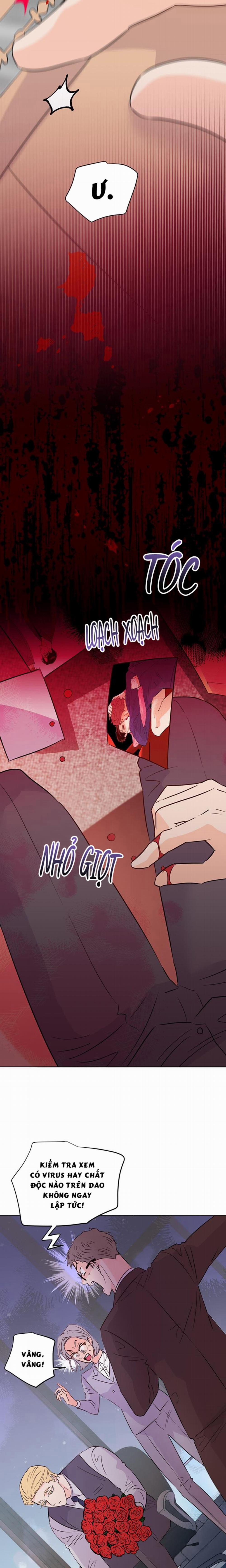 Hào Quang Tối 56 trang 19