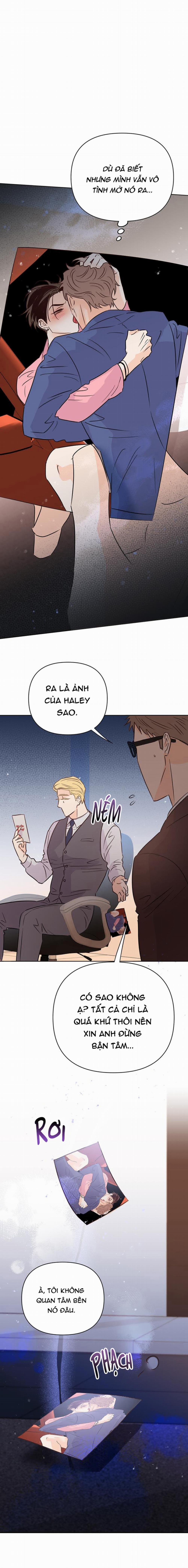 Hào Quang Tối 56 trang 21