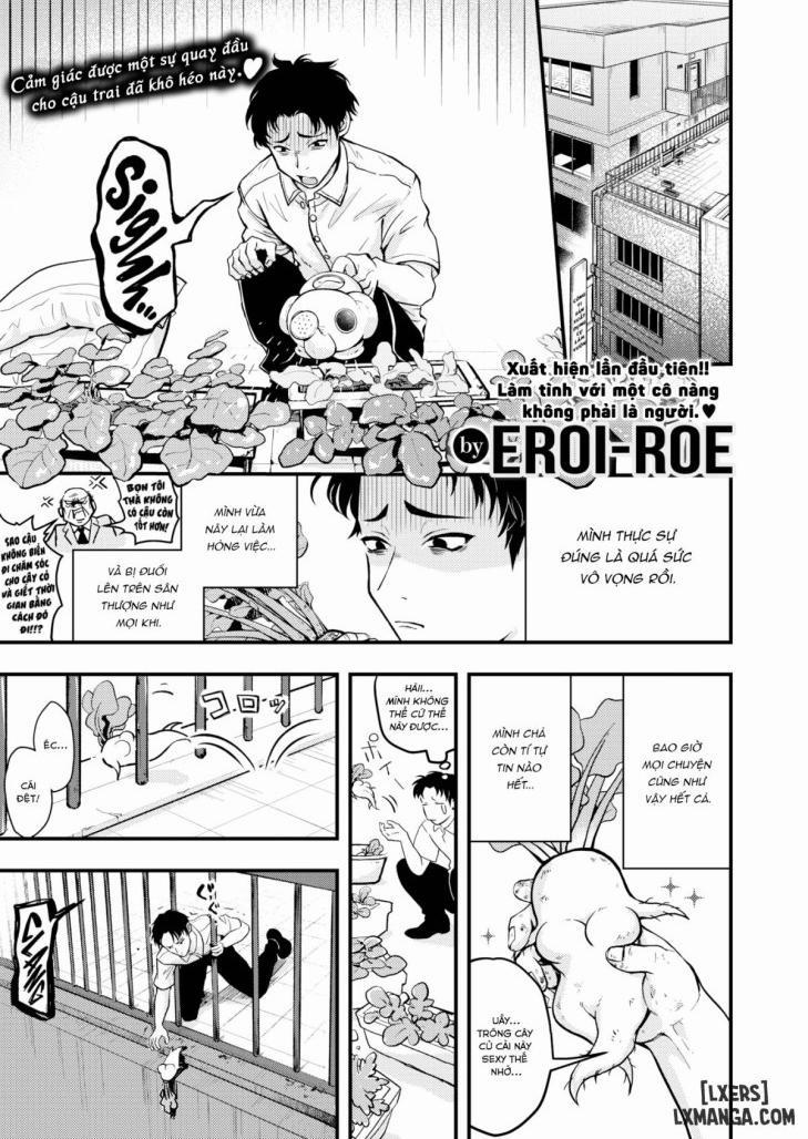 Happy ❤ Mandrake Farm 1 trang 0