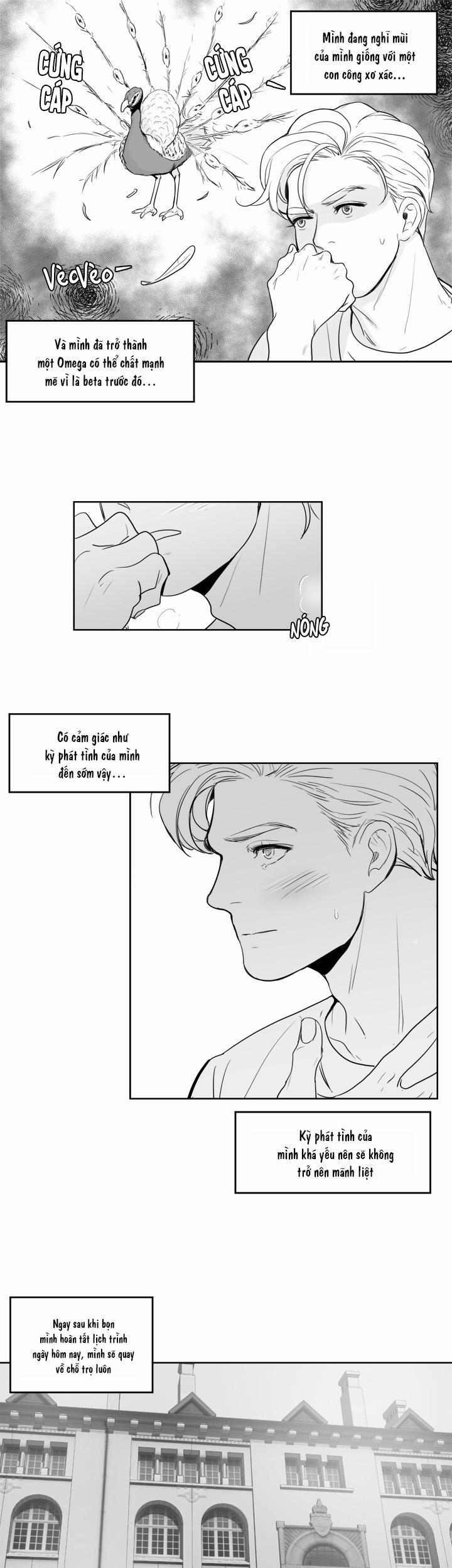 [HAR] Đụng Là Nóng Mà Chạm Là Chạy 13 trang 11