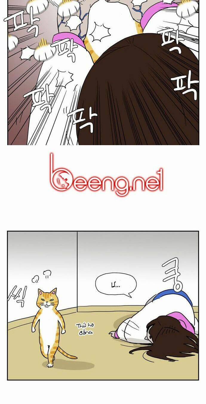 Hard Core Leveling Warrior Ss3 177 trang 58