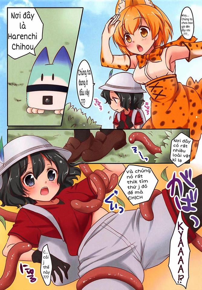 Harenchi Chihou (Kemono Friends) Chương Oneshot Full Color Trang 4