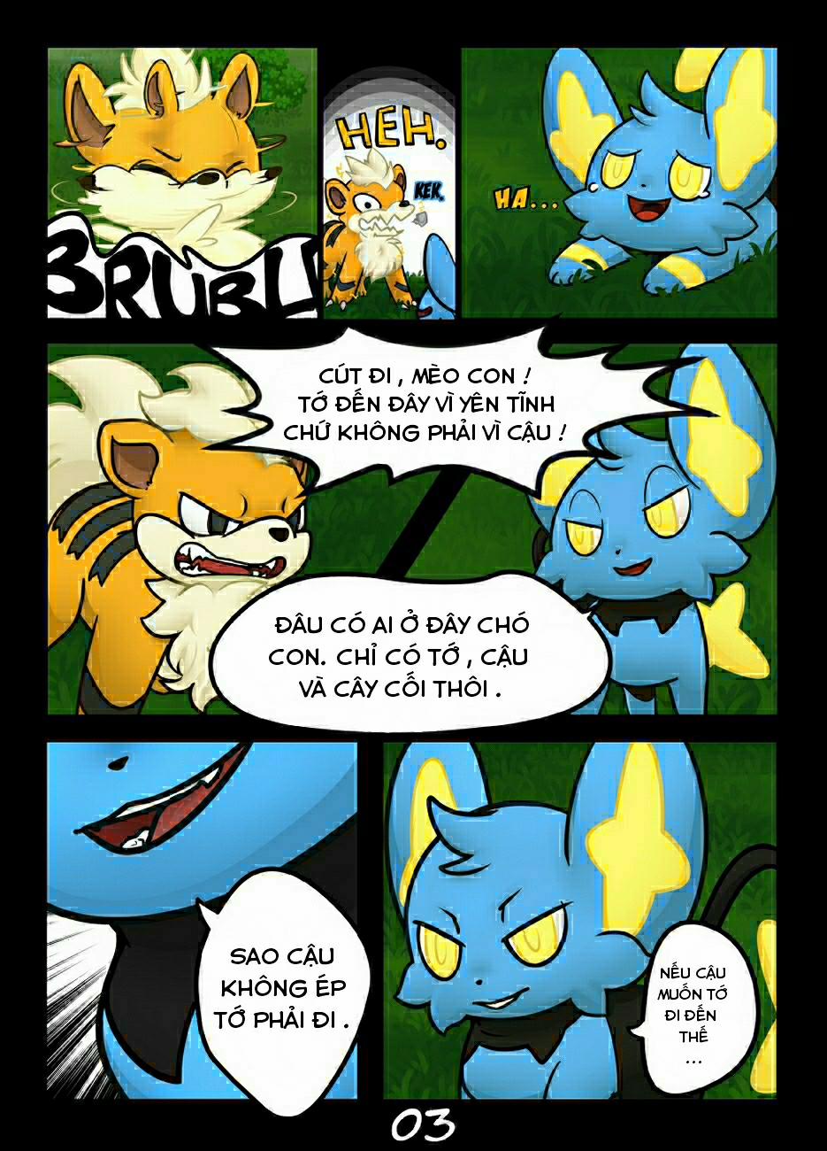 Hãy bắt tớ nếu cậu có thể (Pokemon) Chương Oneshot Trang 3