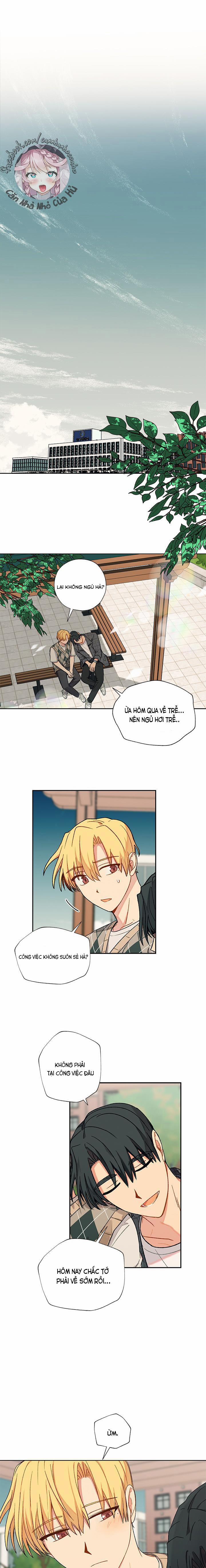 Hãy Cho Em Chút Vị Vanilla! 16 trang 5