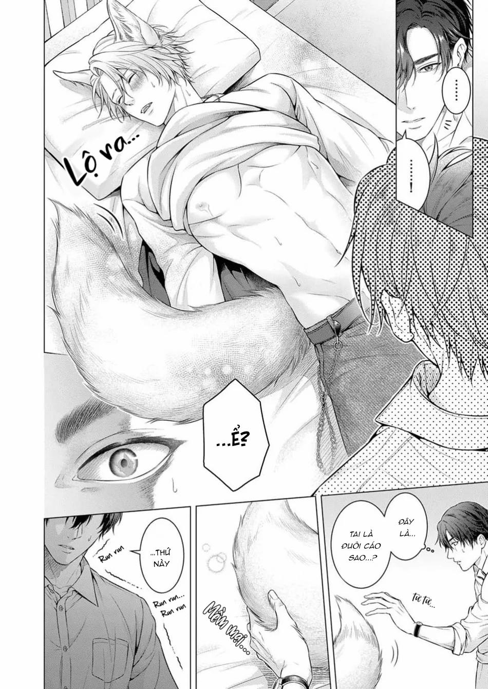 Hãy Để Anh Chạm Vào Cái Đuôi Hư Hỏng Này Nhé 1 trang 11