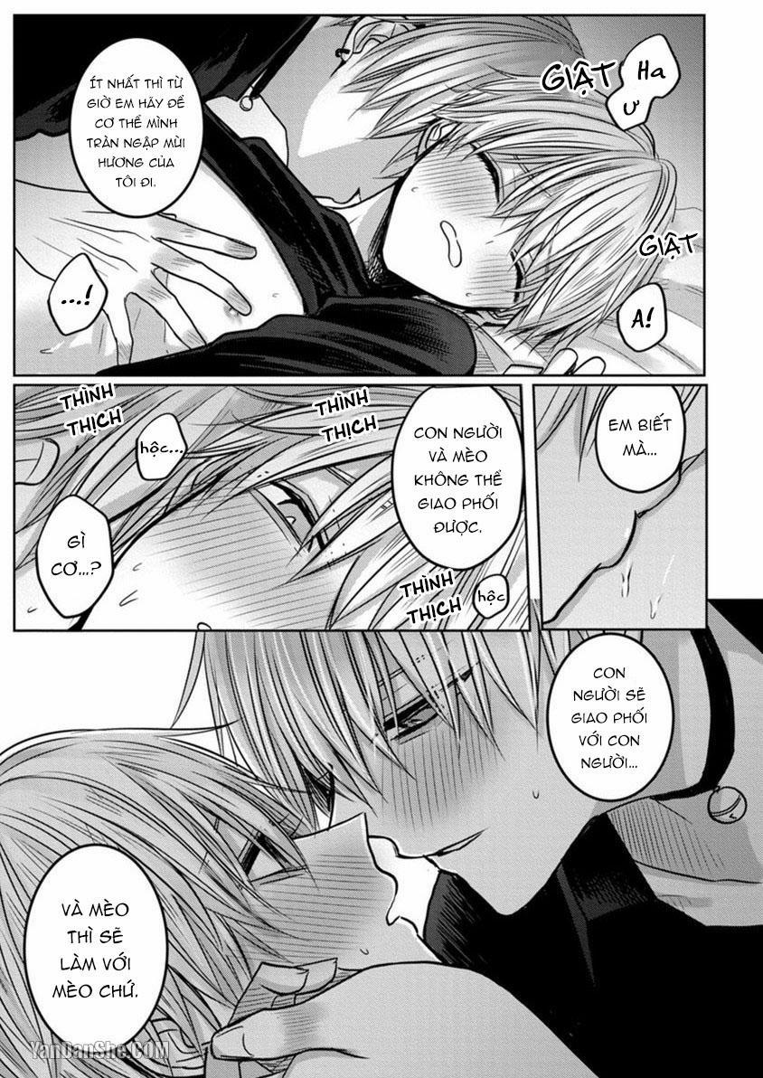 Hãy Đến Và Chiếm Lấy Những Đêm Không Ngủ Của Tôi 2 trang 5