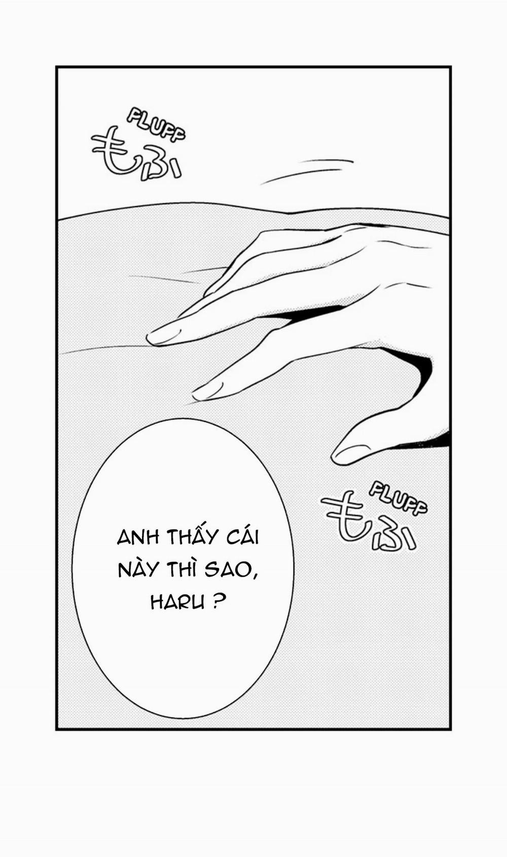 Hãy Ngủ Cùng Em, Haruomi-Kun! 13.1 trang 3