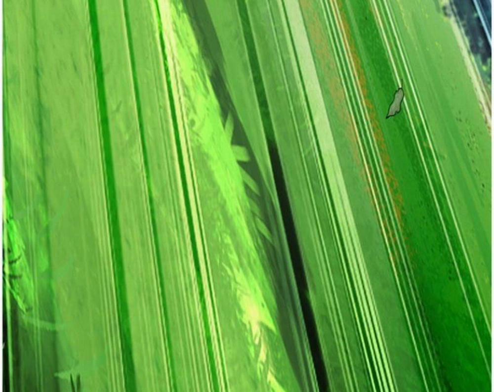 Hệ Thống Nhân Vật Chính: Ta Làm Đại Láo Khắp Các Giới 3 trang 70