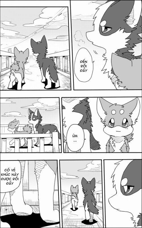 Helper Shibeta 1 trang 35