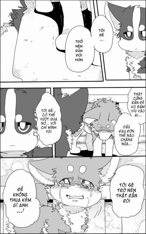 Helper Shibeta 1 trang 38