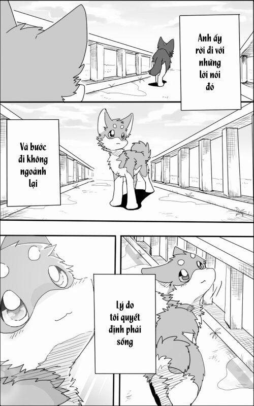 Helper Shibeta 1 trang 41