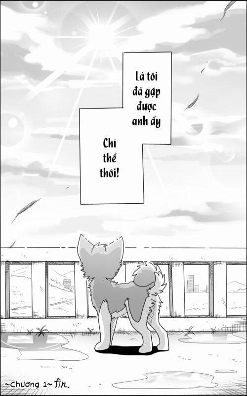 Helper Shibeta 1 trang 42