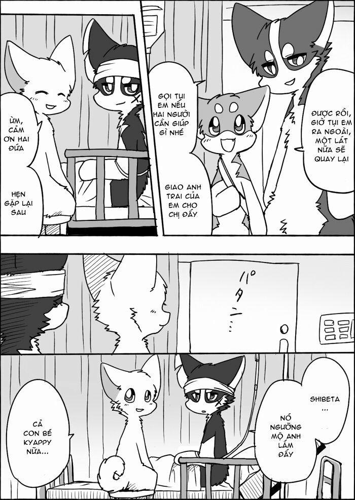 Helper Shibeta 11 trang 11