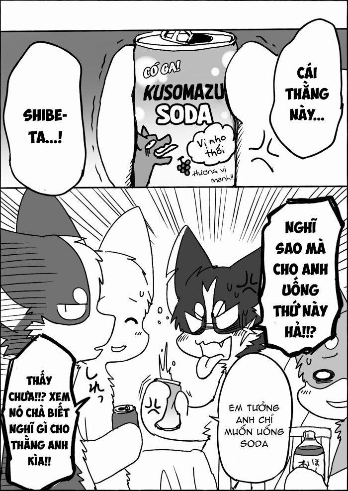 Helper Shibeta 12 trang 11