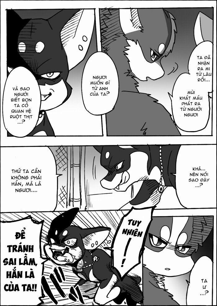 Helper Shibeta 12 trang 17