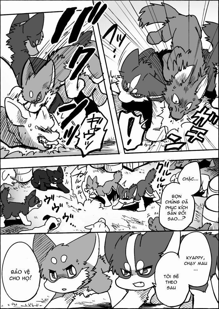 Helper Shibeta 12 trang 19