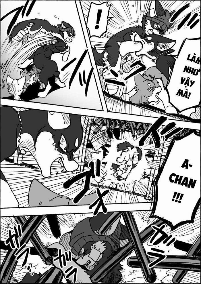 Helper Shibeta 12 trang 27