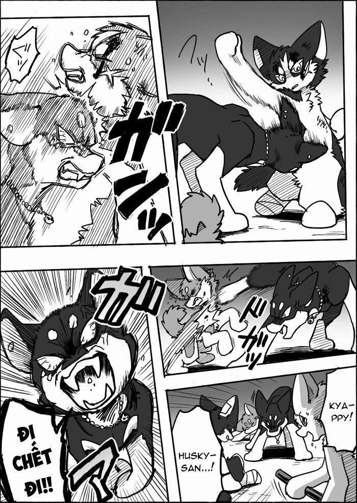 Helper Shibeta 12 trang 34