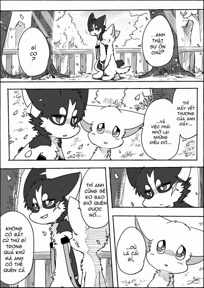 Helper Shibeta 12 trang 46